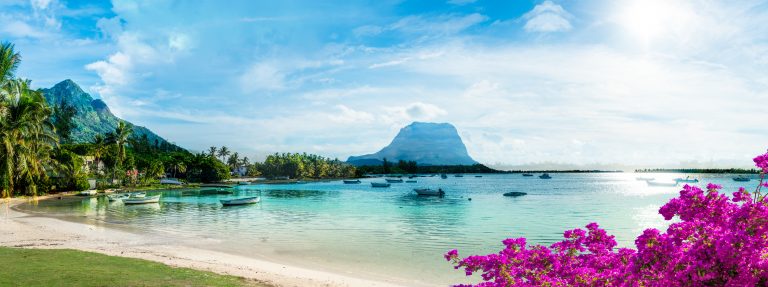 AdobeStock_336897498-768x287