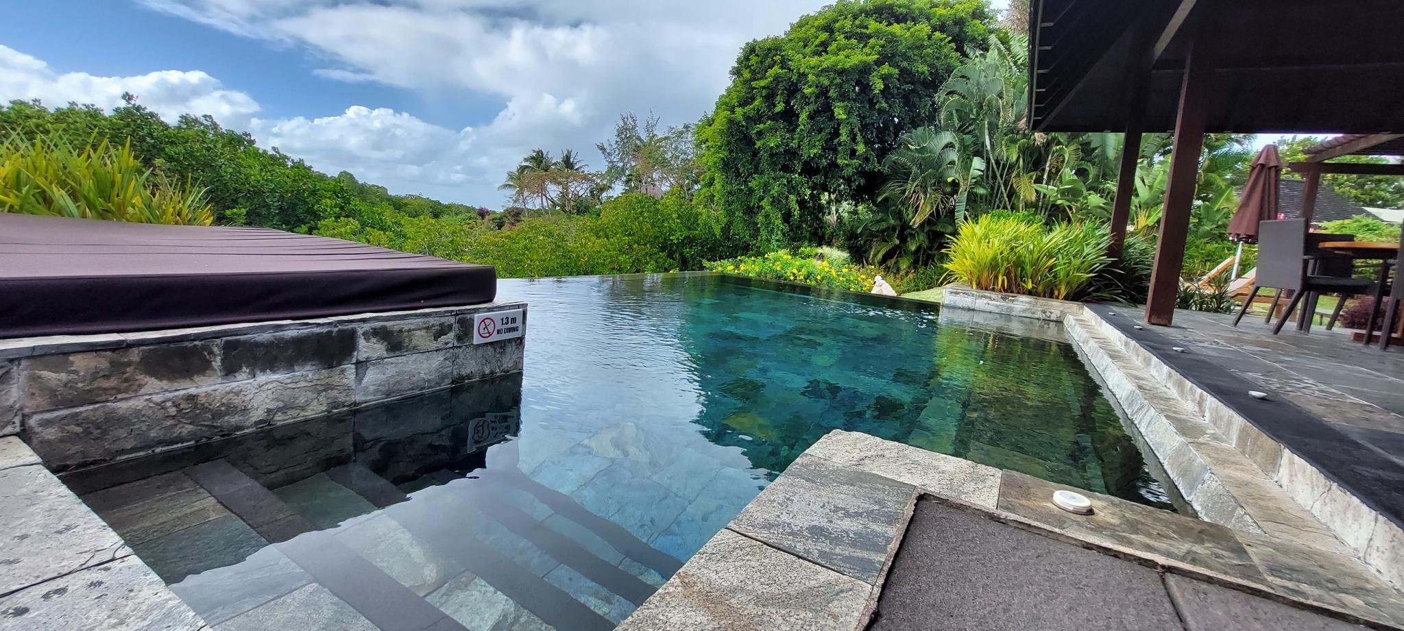 Mangrove Views