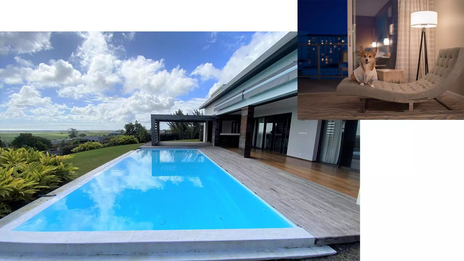 property market pet friendly in Mauritius